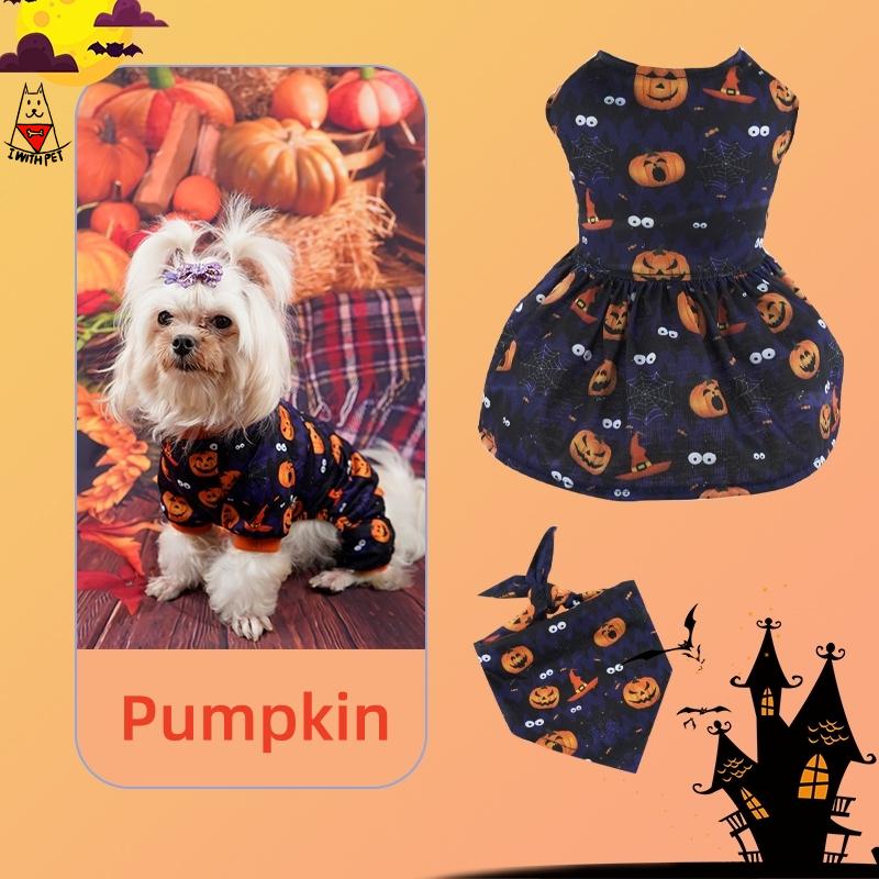 Halloween Pumpkin Set